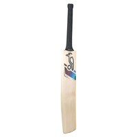 Batte de cricket du Cachemire Kookaburra Aura Pro 8.0 avec une petite poignée