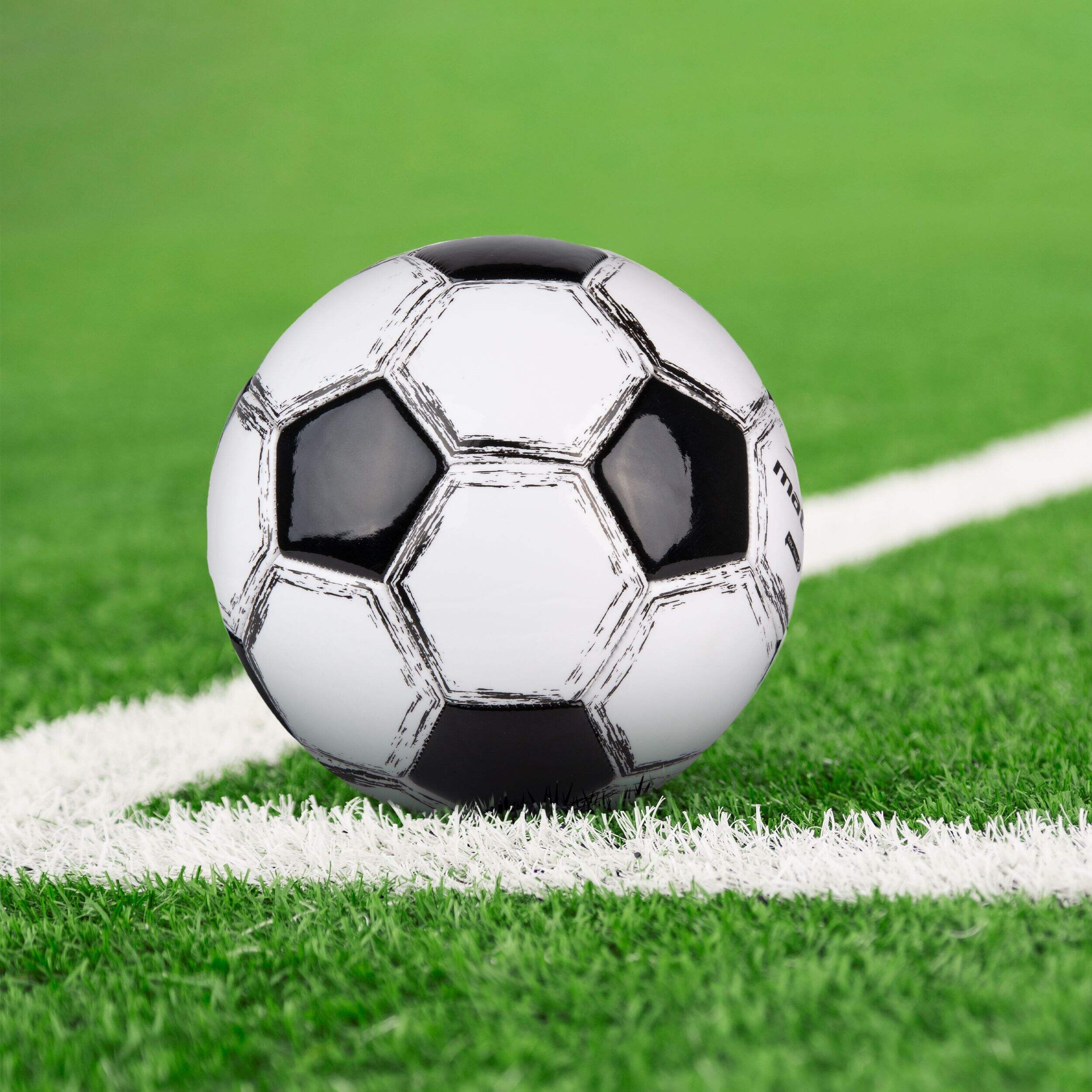 Matrix Indoor/Outdoor Soccer Ball, Green/White, Assorted Sizes