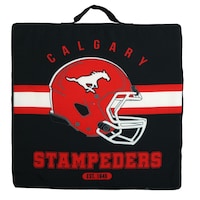 CFL Calgary Stampeders Stadium Cushion, Black, 16-in
