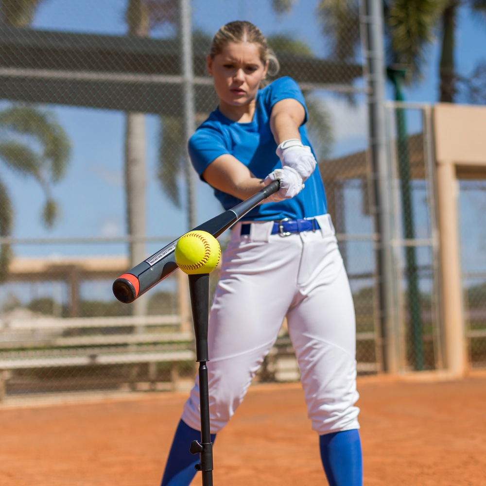 Matrix 5Position Travel Batting Tee Canadian Tire