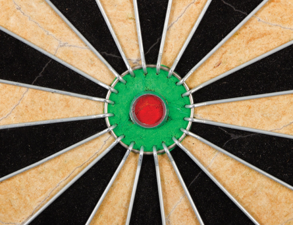EastPoint Stonebridge Sisal Bristle Dartboard w/ StapleFree Bullseye