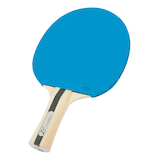 EastPoint EPS 3.0 Table Tennis Racket/Ping Pong Paddle Overhead_Plunge