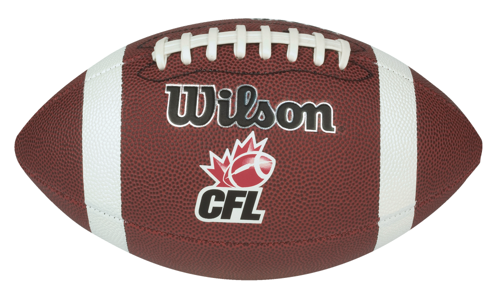 Wilson Nfl Mini Football - Assorted 1 ct