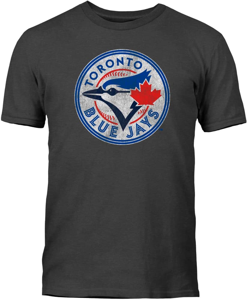 Toronto Blue Jays Logo T-Shirt, Adult, Grey