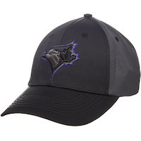 MLB Toronto Blue Jays Blackball Unisex Adjustable Baseball Cap, Black