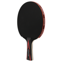 Raquette de tennis de table/ping-pong 5 plis légère Matrix Elite, 6 étoiles Front_Three_Fourths_Angled_Left