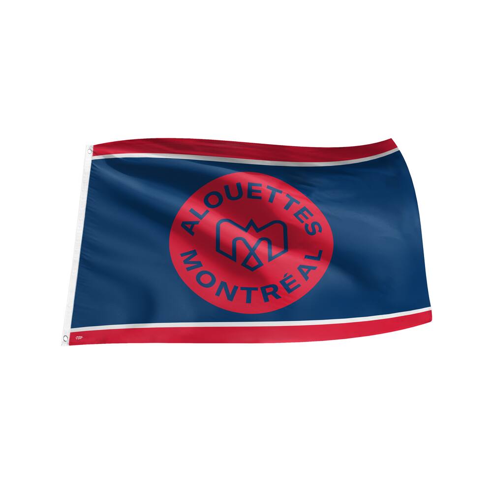 The Sports Vault 3 X 5 Flag Toronto Blue Jays