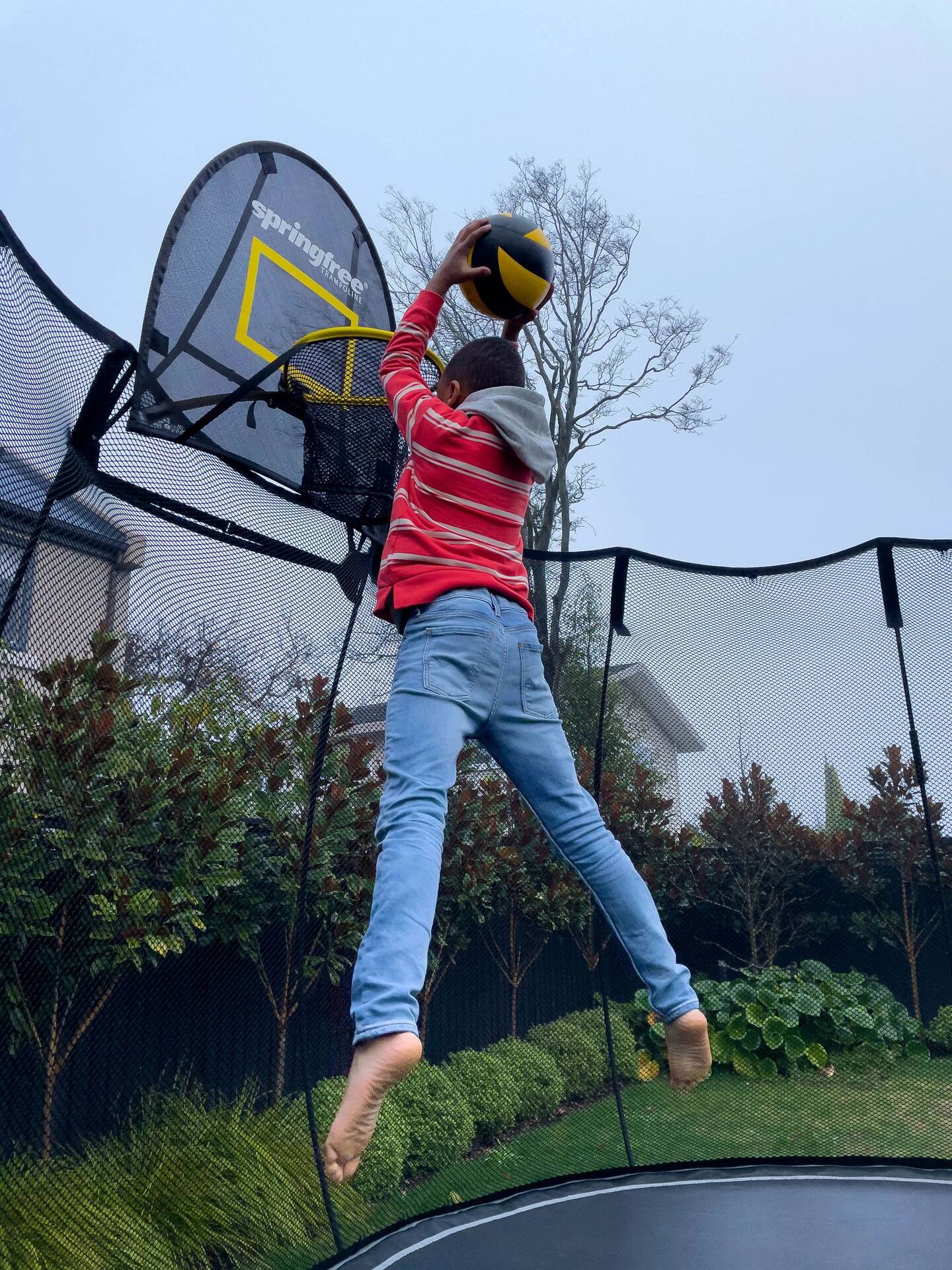 Springfree shop basketball hoop