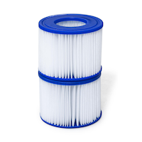 Bestway SaluSpa Filter Cartridge Replacement Spa Type VI Filters, 2-pk Front_Elevated