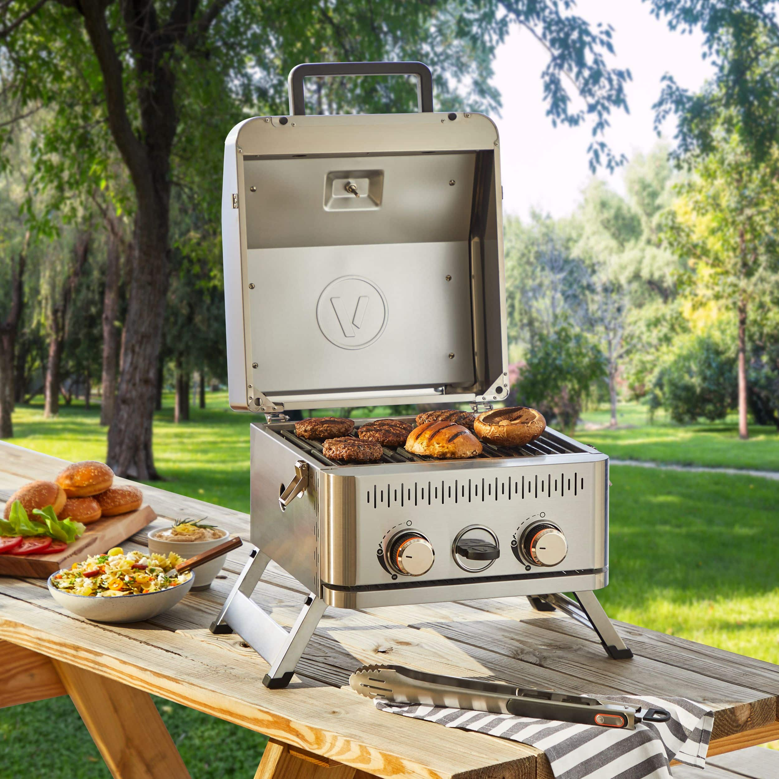 Portable 2 shop burner gas grill