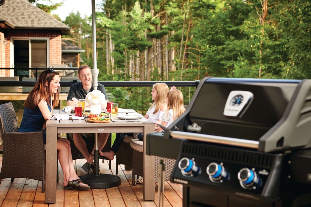 Napoleon Legend LD3 3Burner Propane Gas BBQ Grill with Folding Side