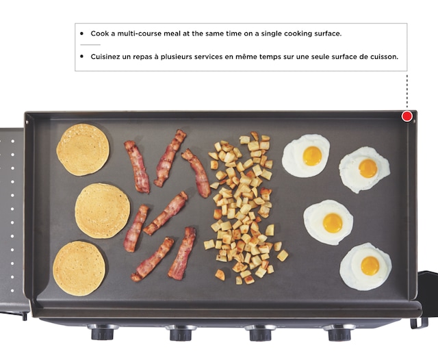 Coleman Cookout Plaque de cuisson au propane en acier inoxydable, 4