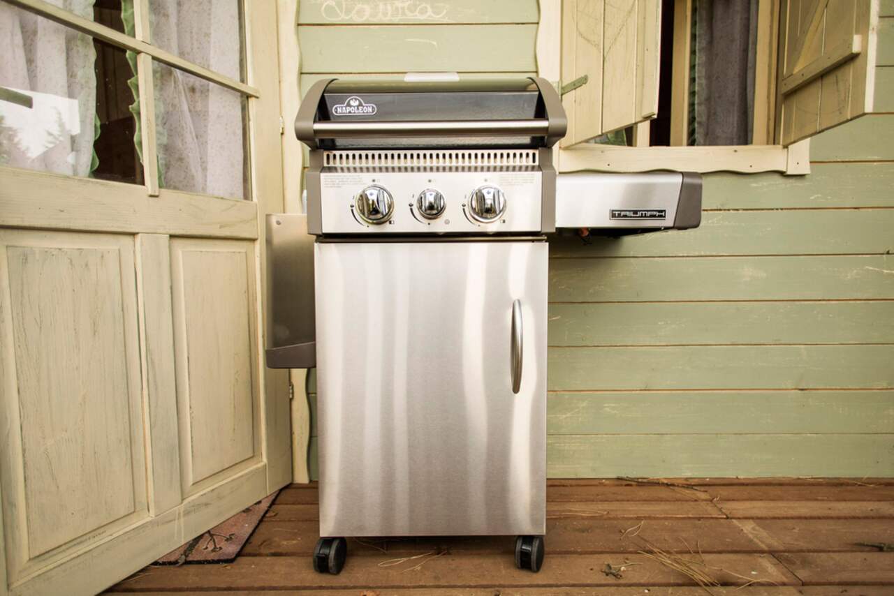 Napoleon triumph deals bbq