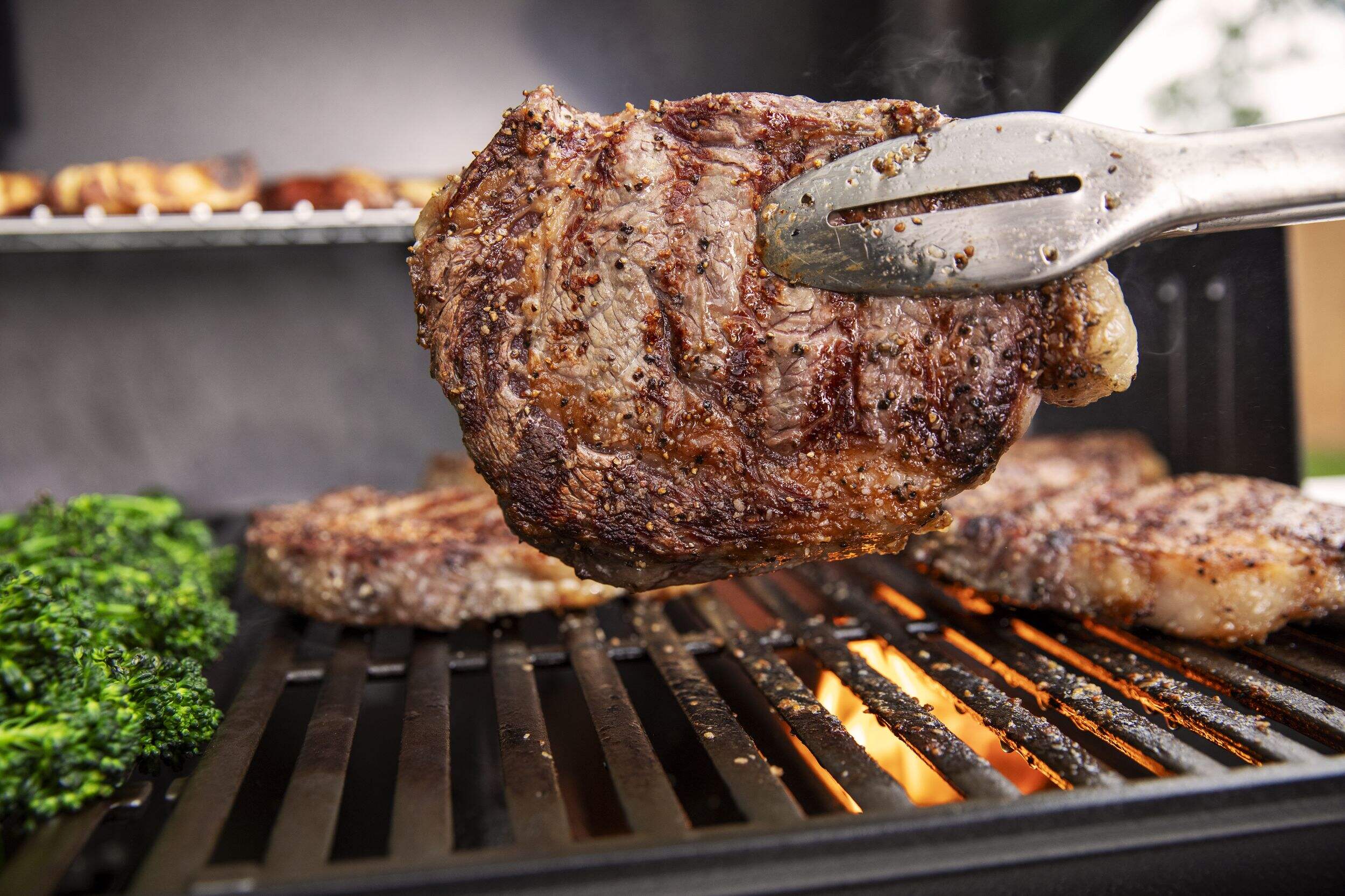 er Genesis E315 Propane Gas Barbecue Canadian Tire