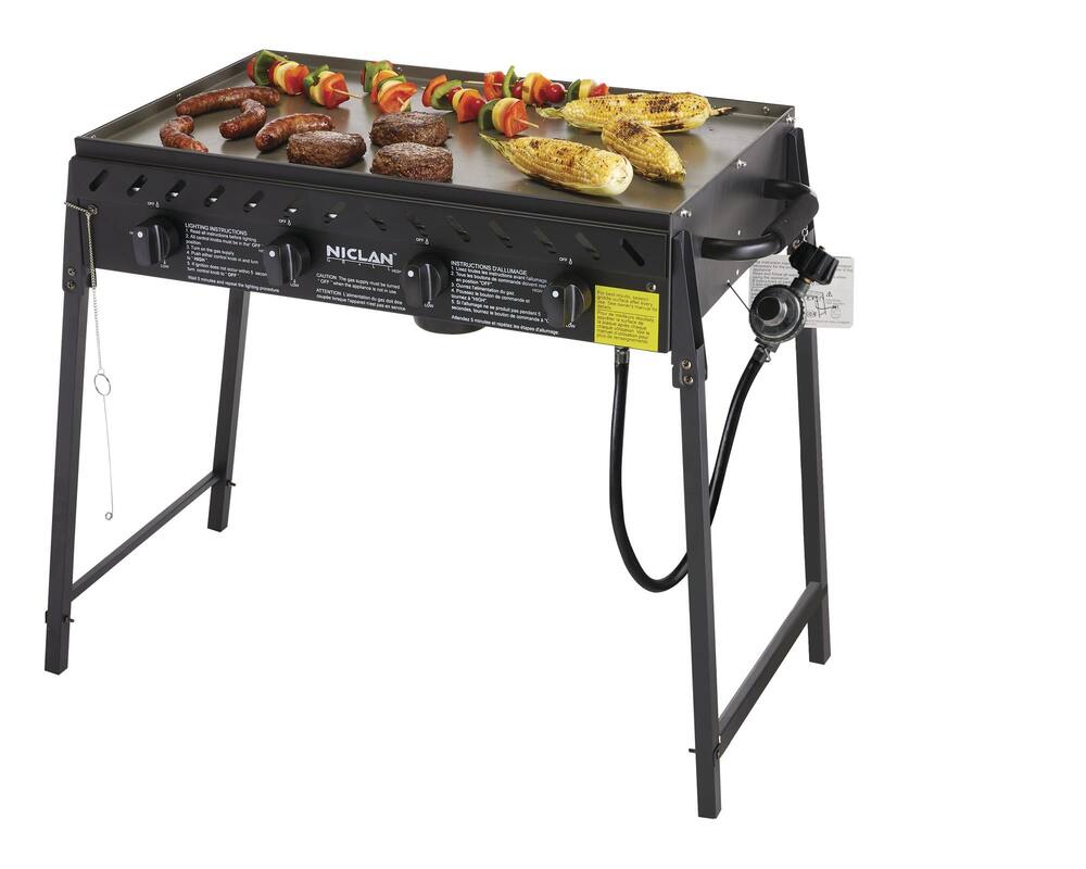 Portable 4-Burner Propane Event Grill | Canadian Tire