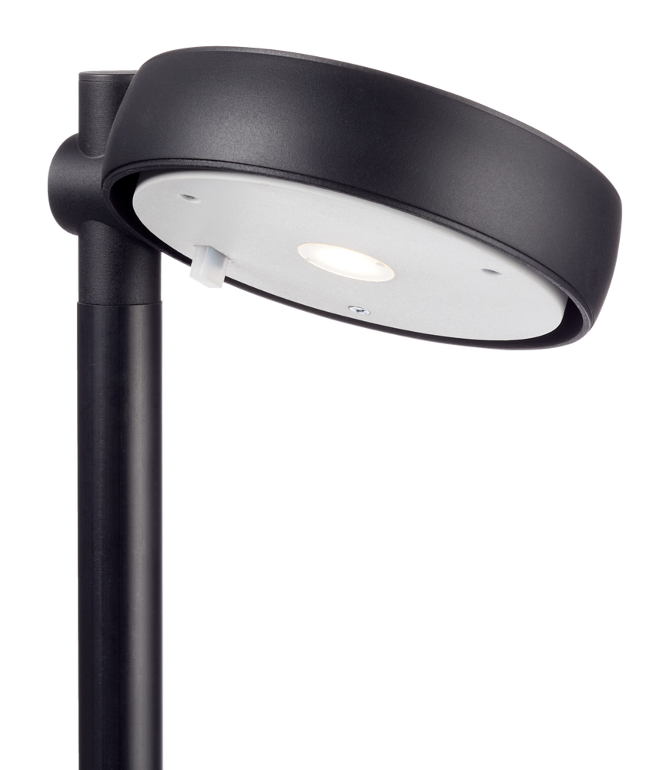 NOMA Outdoor Adjustable Garden & Pathway LED Solar Disk Stake Light