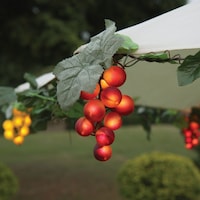 Lumières de parasol en grappes de raisin Umbrella, paq. 6