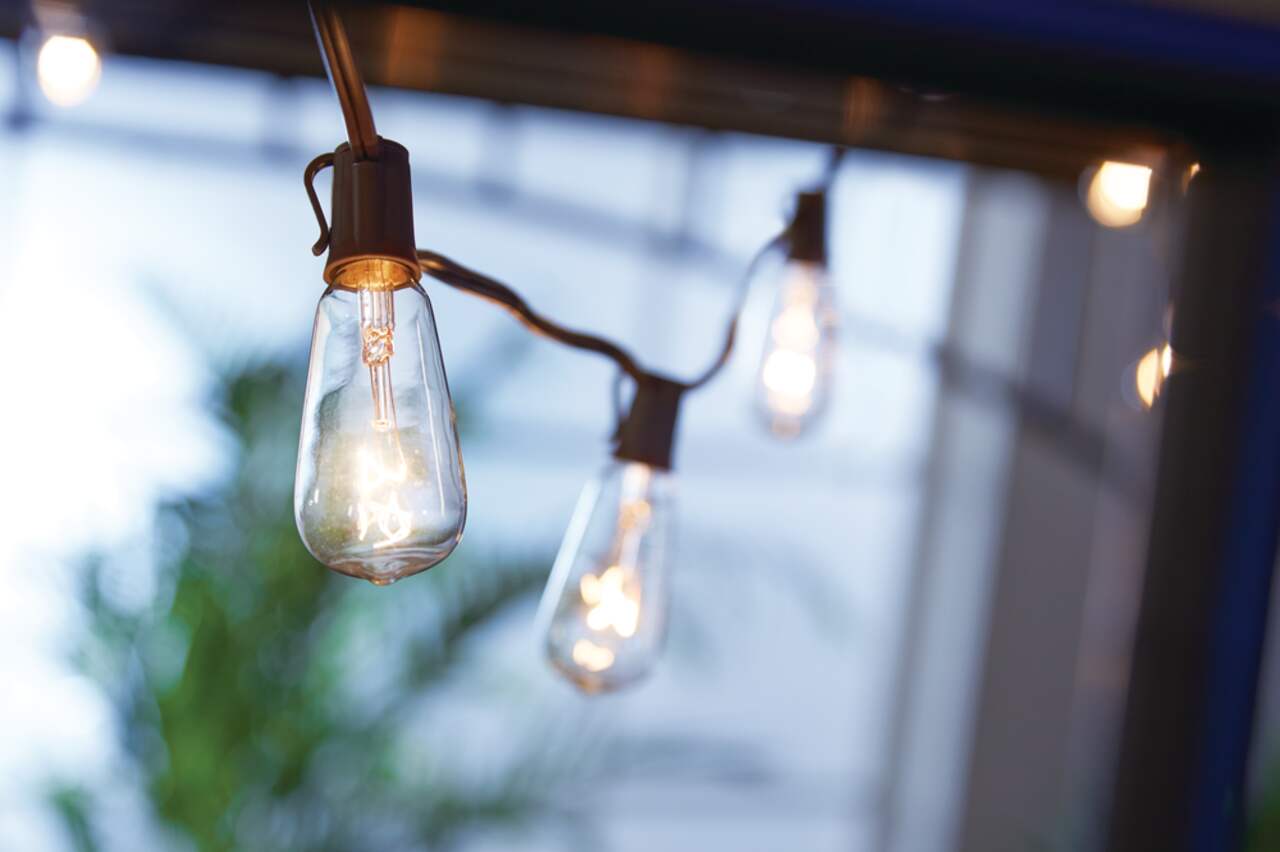 CANVAS Indoor Outdoor White Incandescent Plug In Vintage String