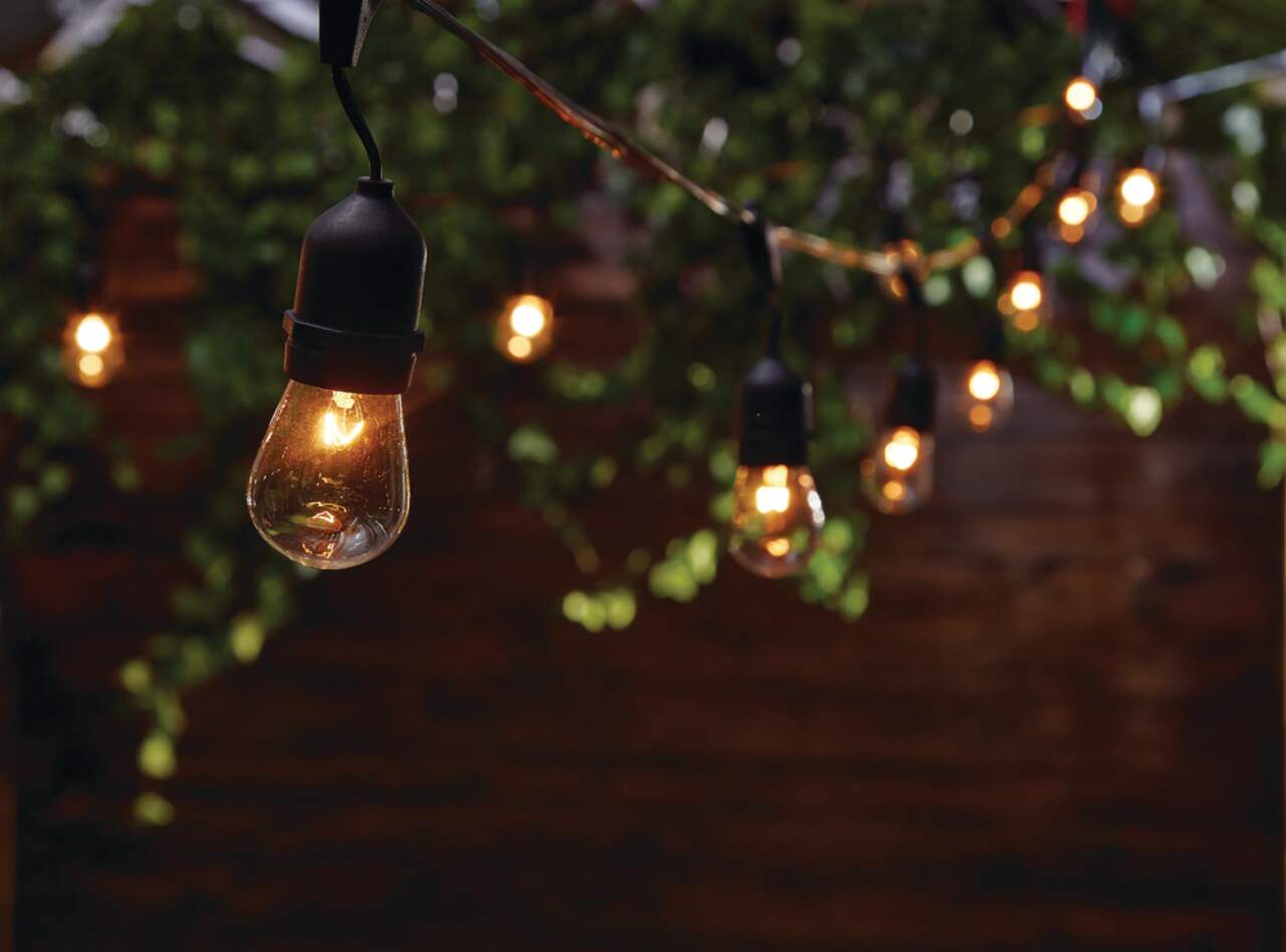 CANVAS Outdoor Clear White Incandescent Plug In Montmarte String