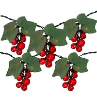 Northlight Festive Grape String Lights, Red, 6-ft CloseUp