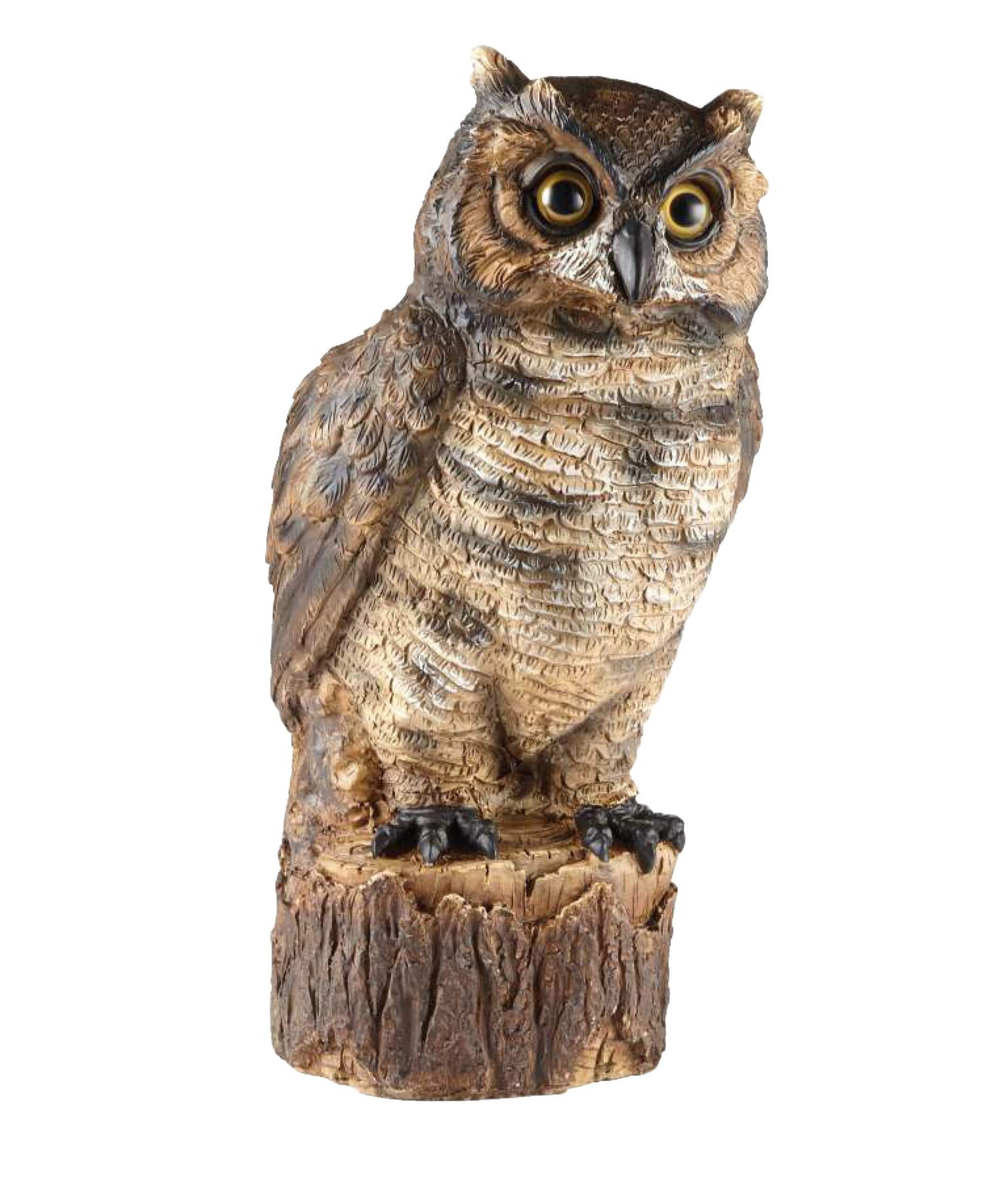 Appelant pour hibou de jardin For Living Front_Elevated