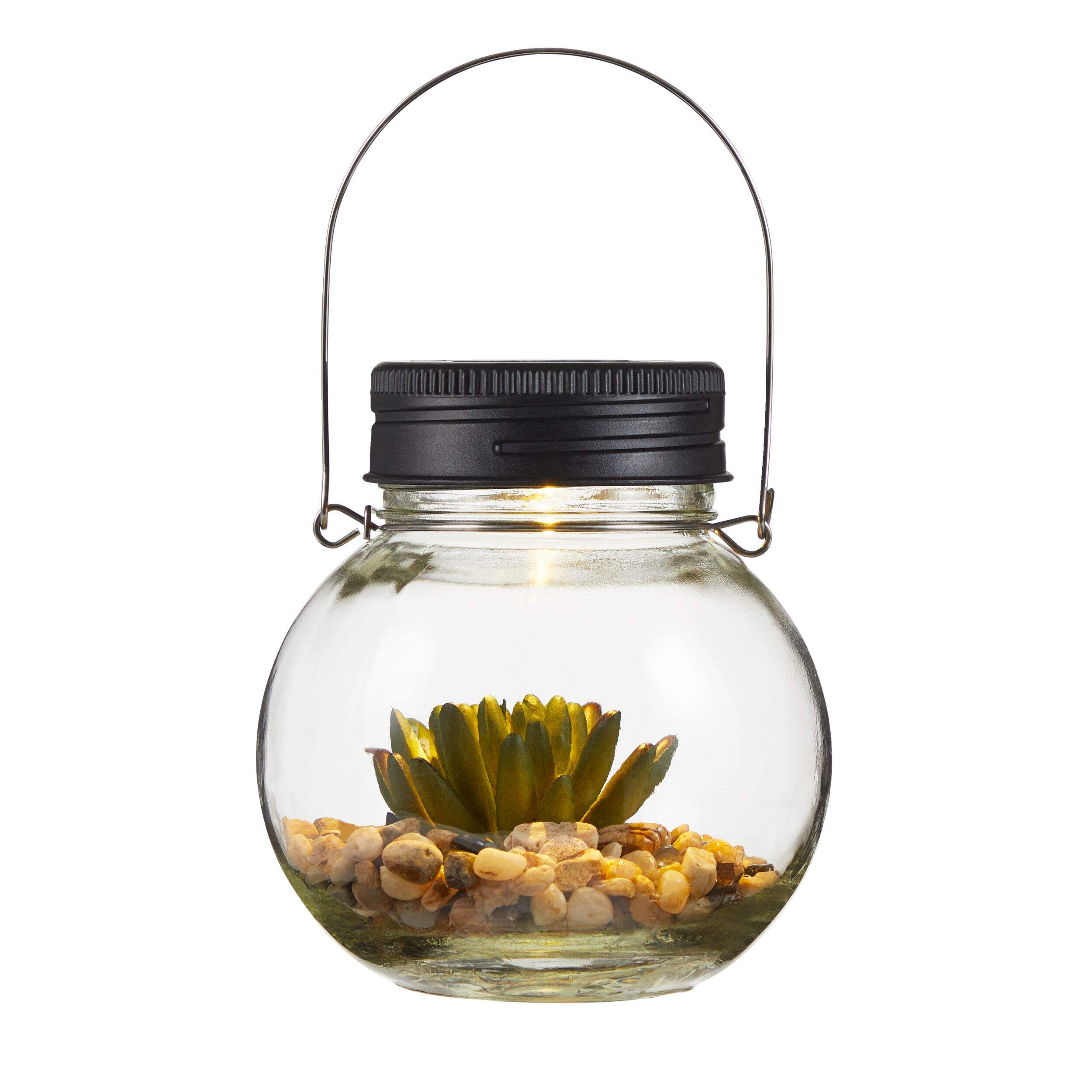 For Living Glass Light with Succulent, 5.12-in Front_Flat