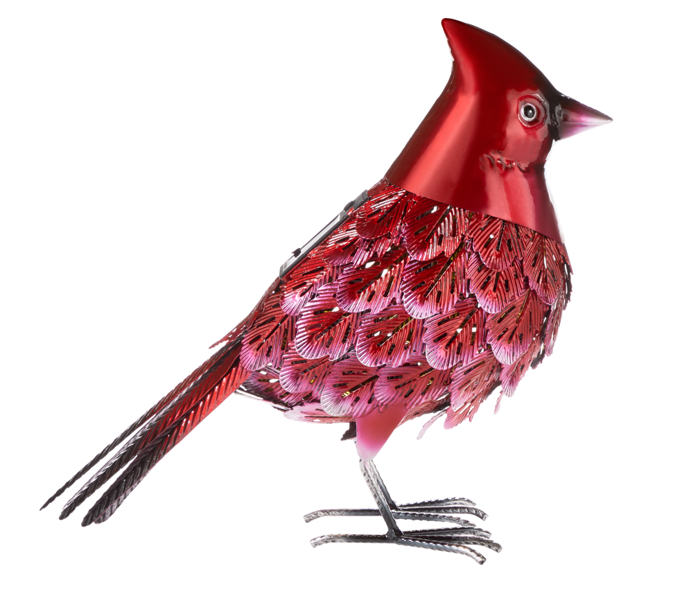 cardinal reading a book clipart