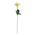 Product 3 of 6