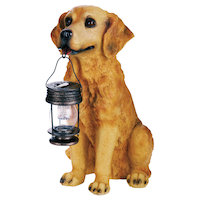 Golden Retriever with Solar Light