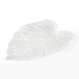 Plateau en forme de feuille CANVAS Monstera Front_Elevated