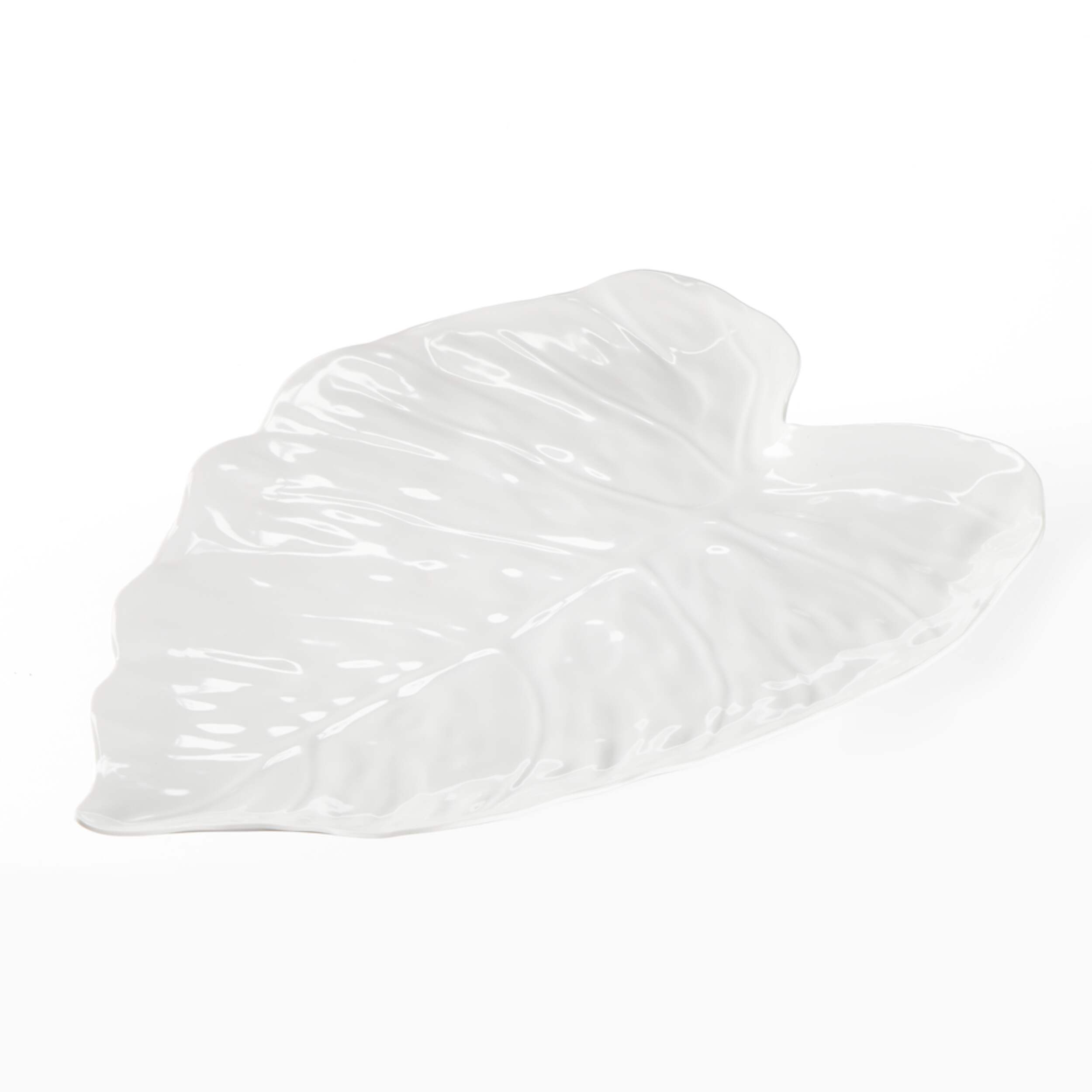 Plateau en forme de feuille CANVAS Monstera Front_Elevated