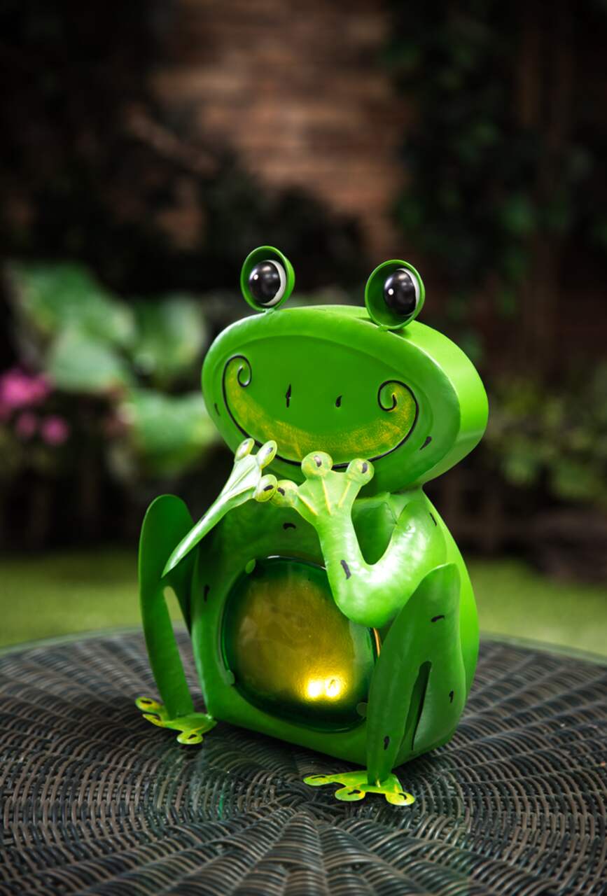 Hula Hoop Frog Garden Sculpture  Garden frogs, Frog decor, Frog