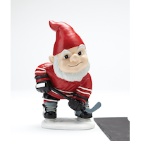Hockey Gnome