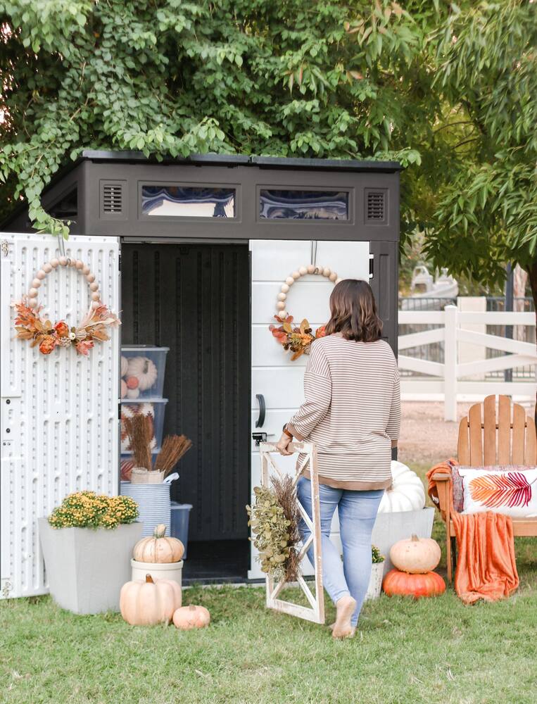 modern shed storage