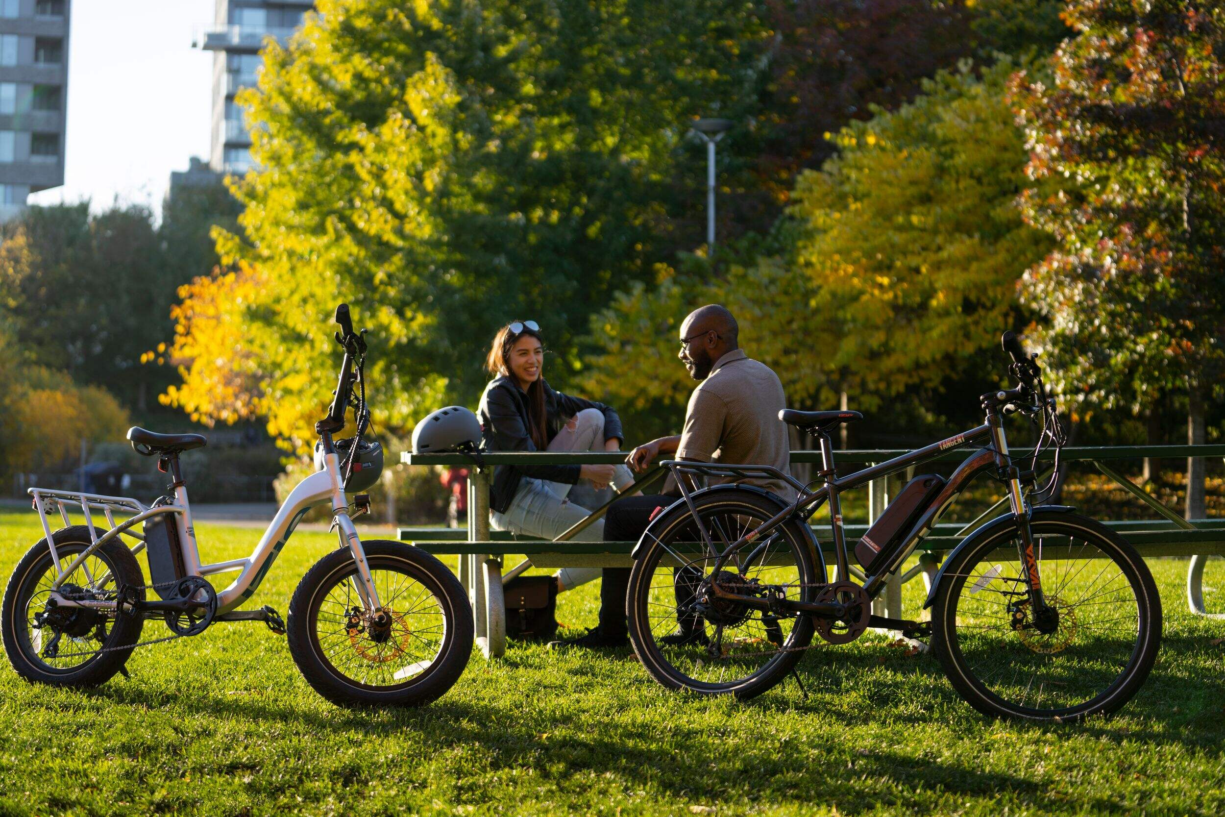 iZip XL Adult Electric Bike, Aluminium Frame, 20in, Grey Canadian Tire