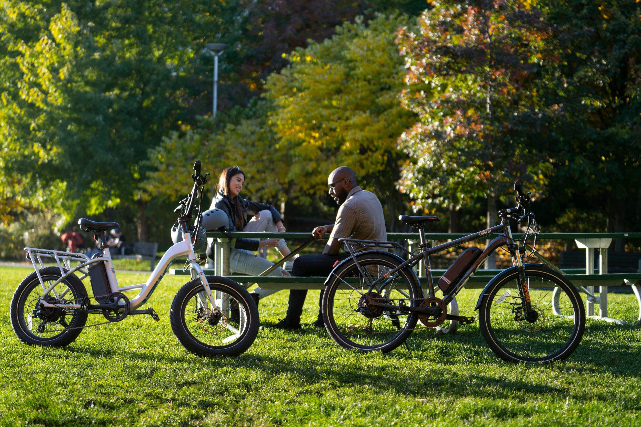 iZip XL Adult Electric Bike, Aluminium Frame, 20in, Grey Canadian Tire