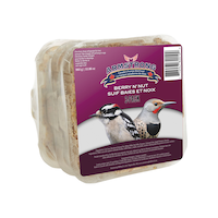 Armstrong Berry and Nut Suet Bird Food, 3-pk, 0.96 kg Front_Angled_Right