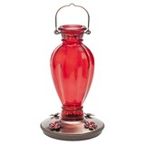 Mangeoire pour colibris à suspendre Perky Pet, vase avec marguerites, verre rétro, rouge, capacité de 18 oz de nectar Front_Elevated