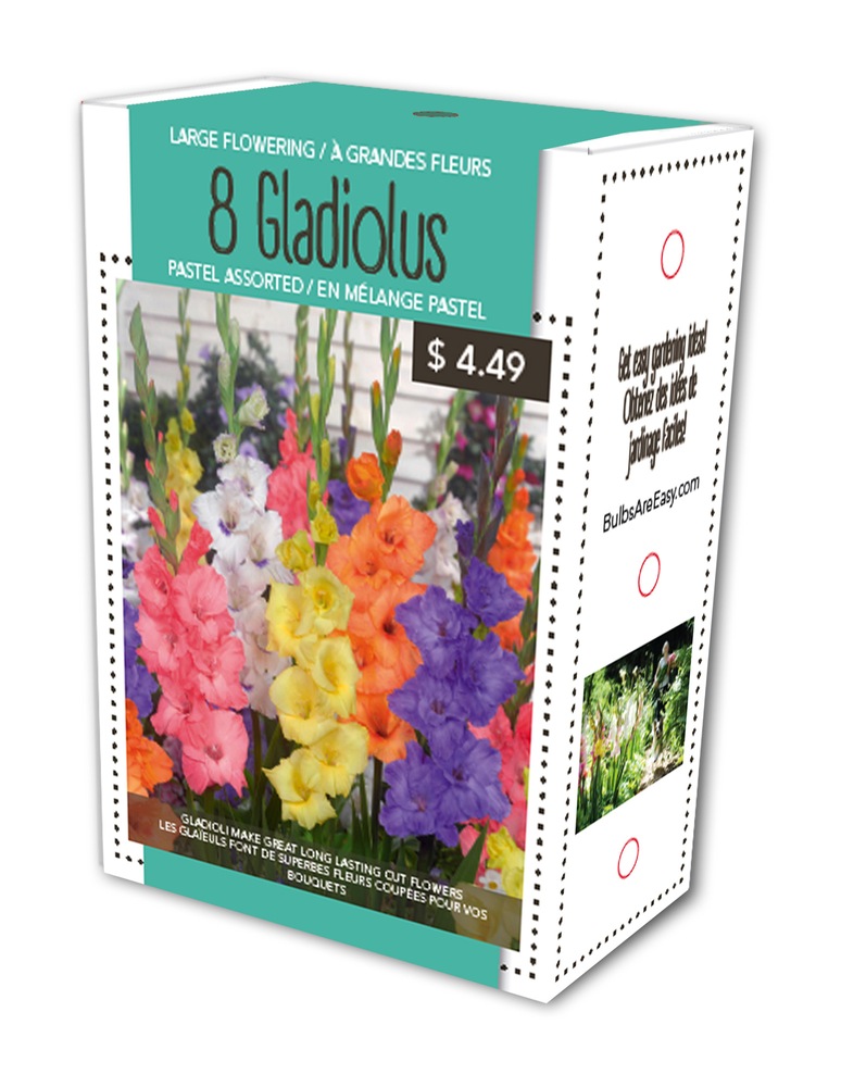 Gladiolus Pastel Bulbs, Assorted Canadian Tire