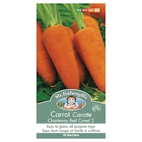 Mr. Fothergill's Vegetable Seeds, Ready to Plant for your Home Garden, Assorted Seeds Front_Flat