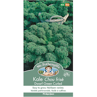 Mr. Fothergill's Vegetable Seeds, Ready to Plant for your Home Garden, Assorted Varieties Front_Flat