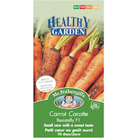 Mr. Fothergill's Vegetable Seeds, Ready to Plant for your Home Garden, Assorted Front_Flat