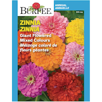 Burpee, Annual Flower Seeds, Assorted Varieties, Ready to Plant for your Home Garden Front_Flat