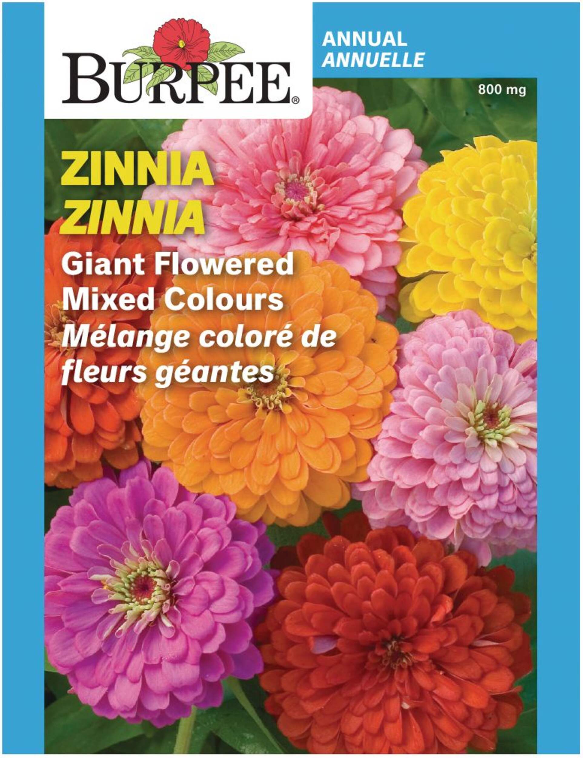 Semences de légumes et fleurs McKenzie, choix varié Front_Flat
