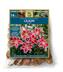 Bulbs Are Easy