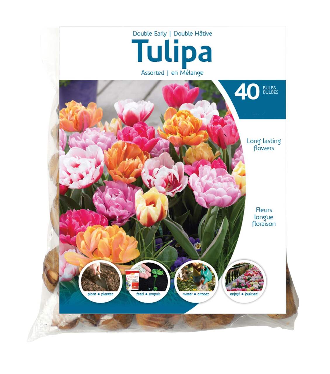 Bulbes 100 Tulipes à longues tiges en mélange - Tulipa