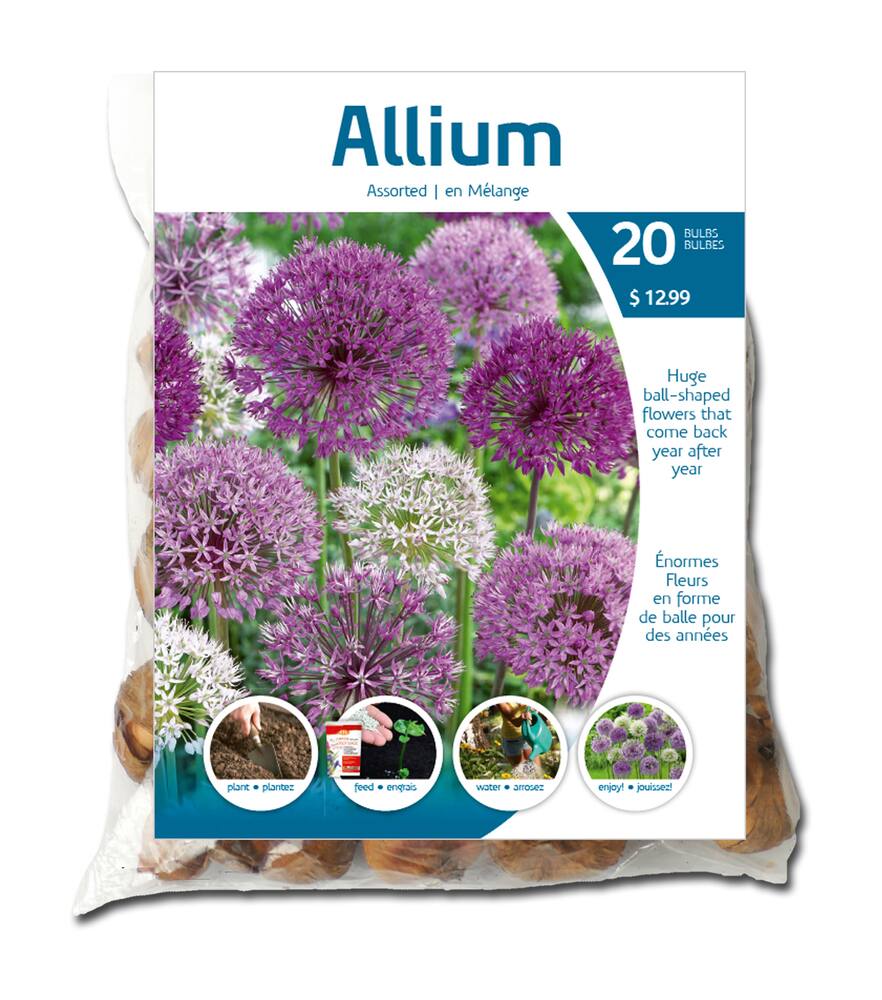 Assorted Allium Bulbs, 15-pk | Canadian Tire