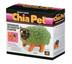 Chia Pet