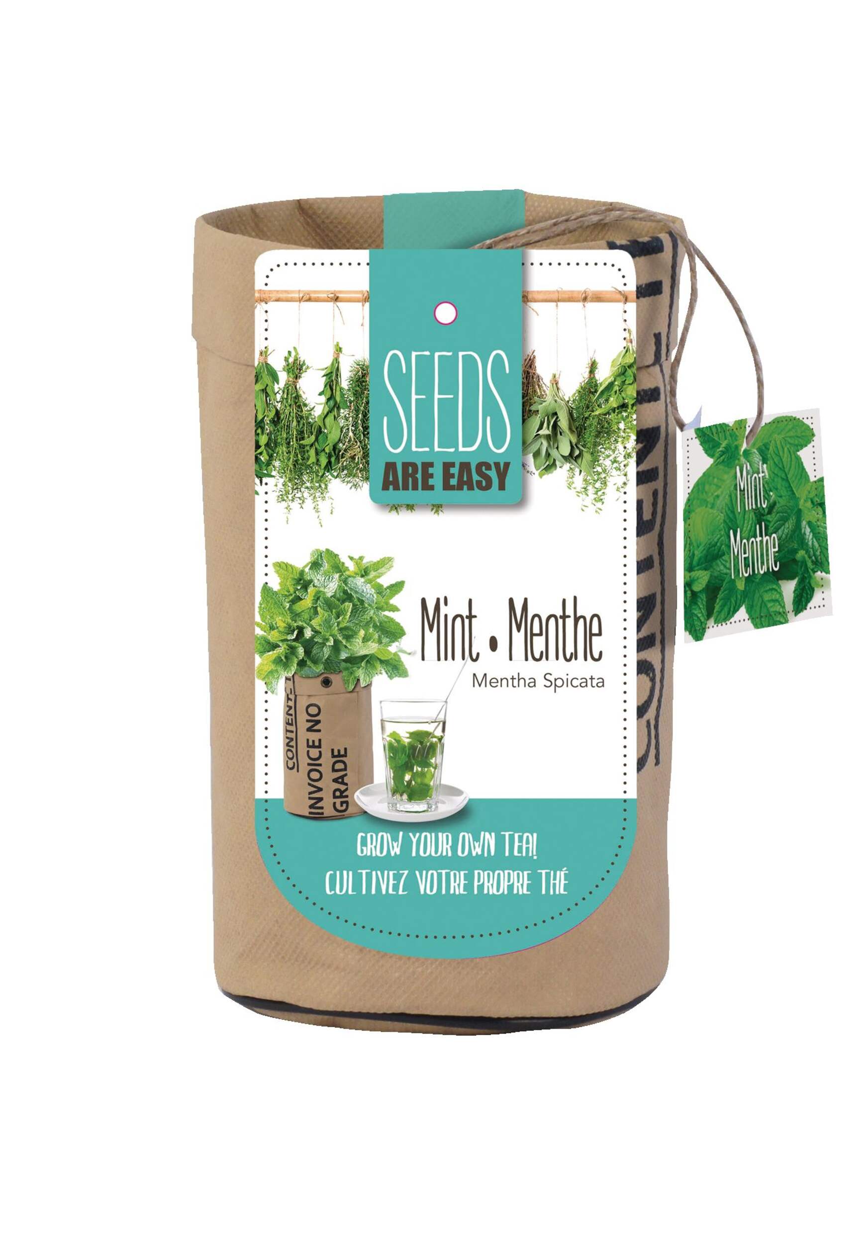 Seeds Are Easy, Mint Tea Kit, Comes with Jute Planter, Potting Soil, Seeds Front_Flat