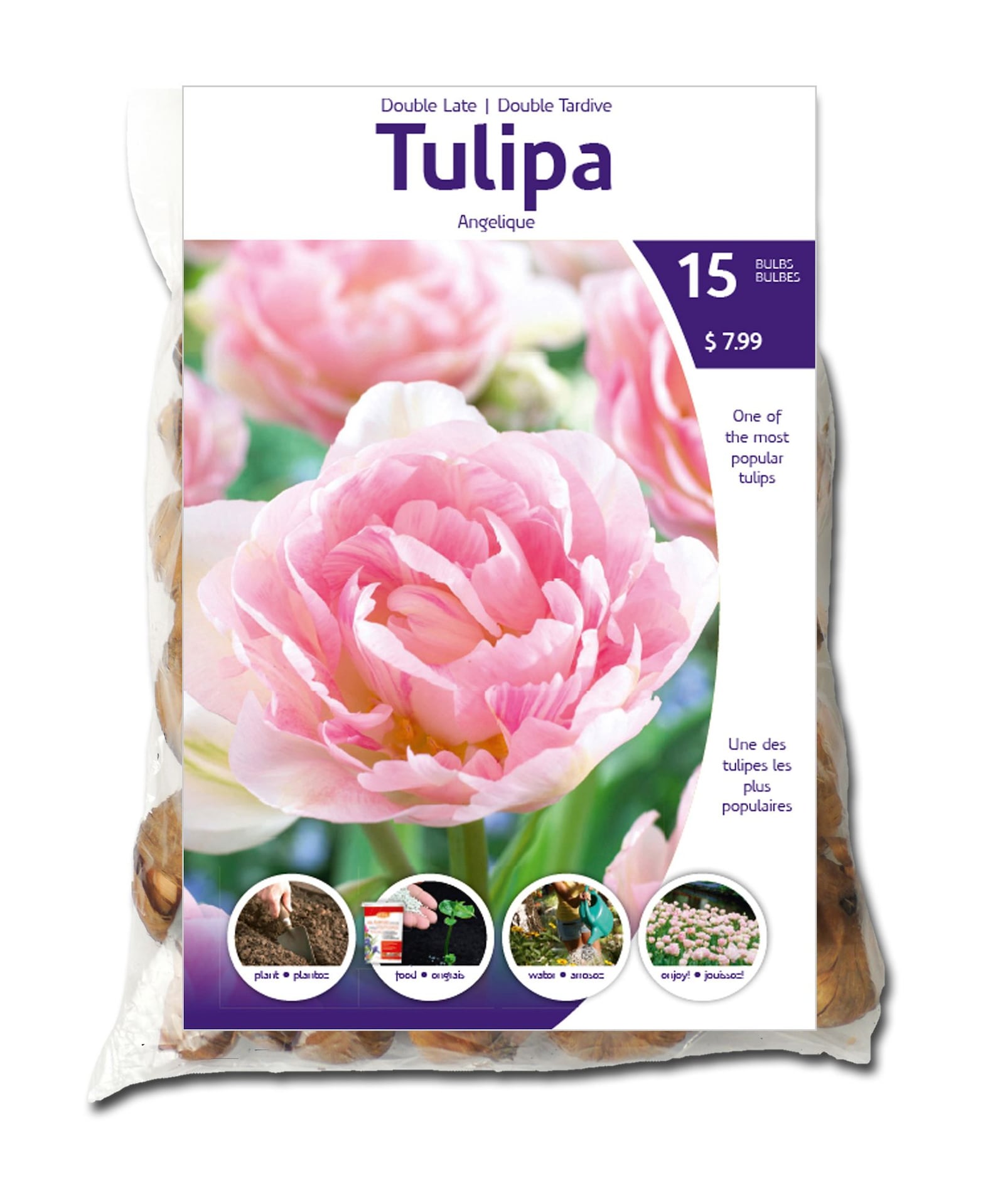 Tulip Double Late Orange Angelique Flower Bulbs Canadian Tire